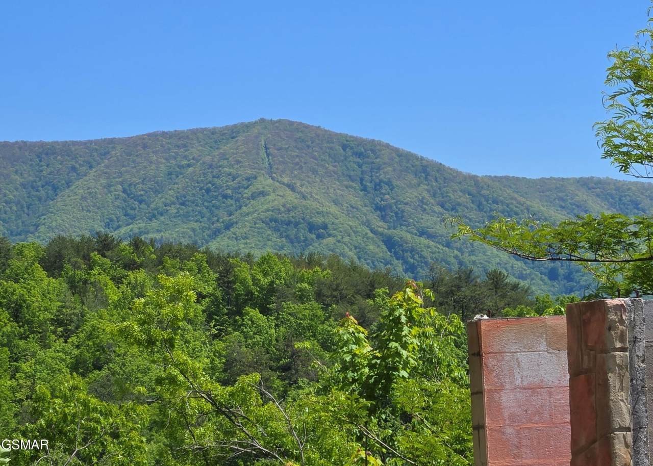2759 Hatcher Mountain Road - Photo 1