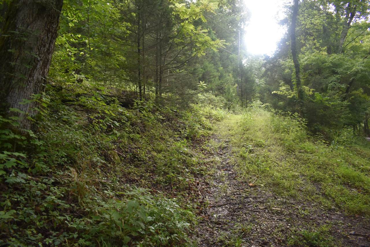 https://bt-photos.global.ssl.fastly.net/nashville/1280_boomver_1_RTC3278651-1.jpg