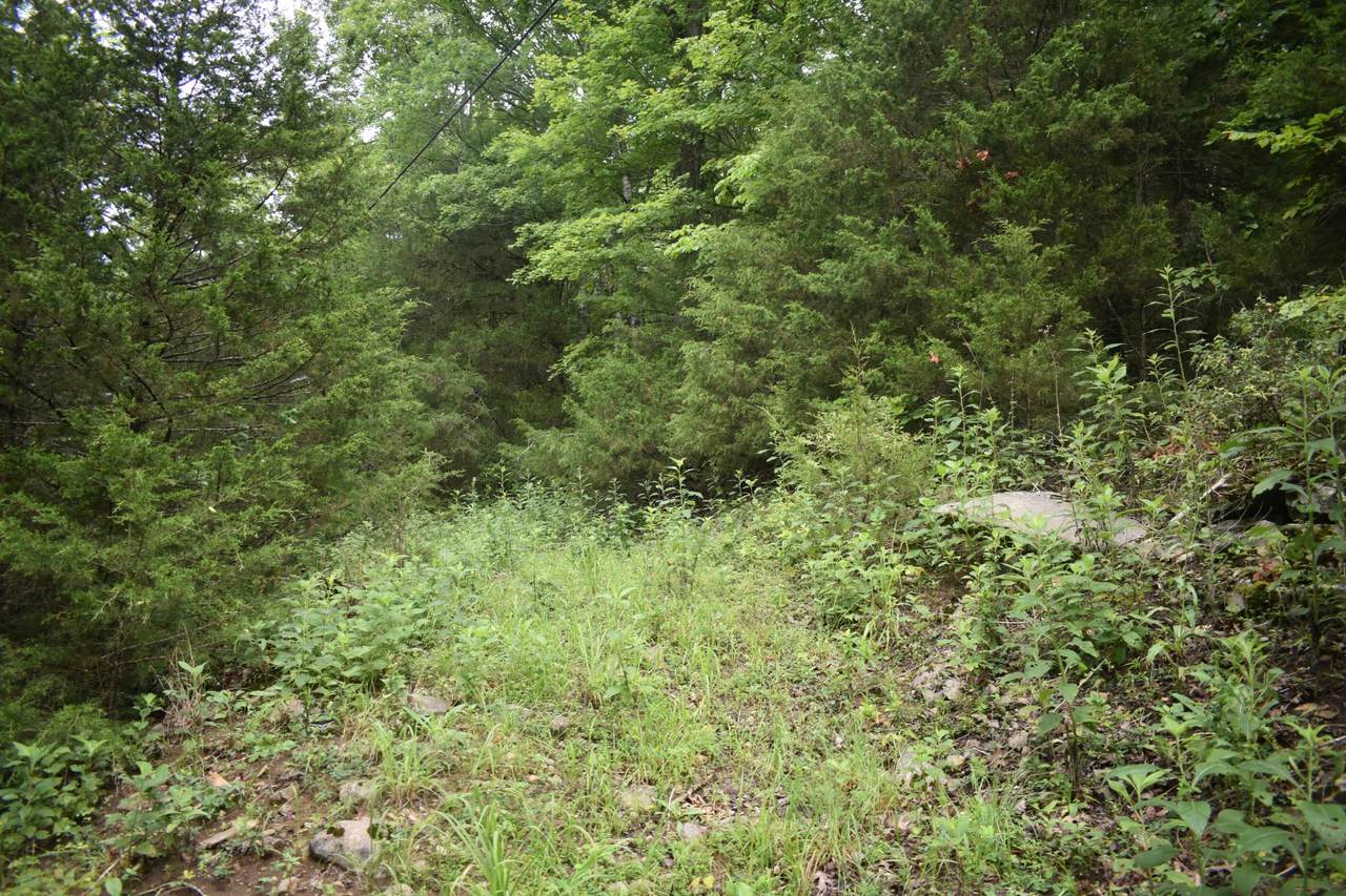 https://bt-photos.global.ssl.fastly.net/nashville/1280_boomver_1_RTC3278651-1.jpg