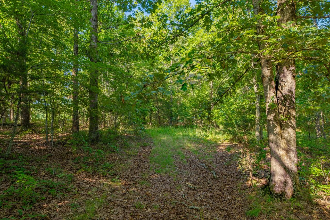 https://bt-photos.global.ssl.fastly.net/nashville/1280_boomver_1_RTC3279265-1.jpg