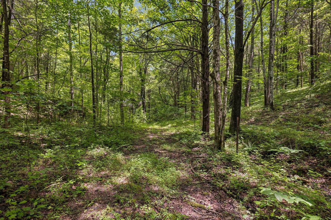 https://bt-photos.global.ssl.fastly.net/nashville/1280_boomver_1_RTC3279286-1.jpg