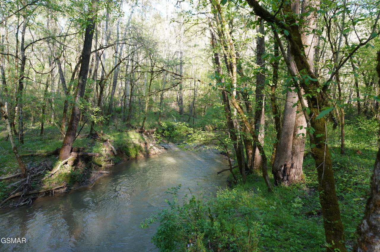 https://bt-photos.global.ssl.fastly.net/nashville/1280_boomver_1_RTC3281436-1.jpg
