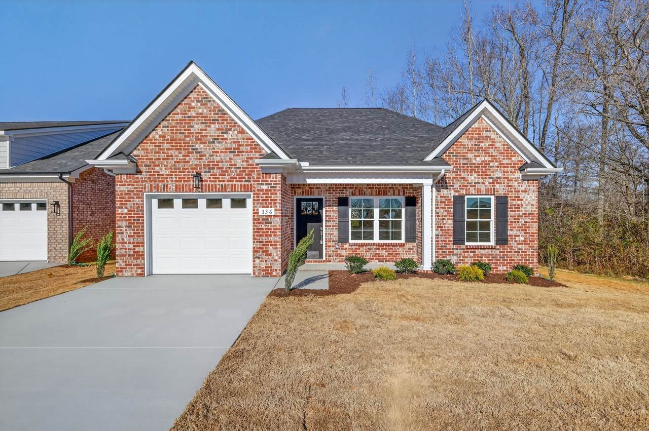 336 N Fork Branch Rd - Photo 1