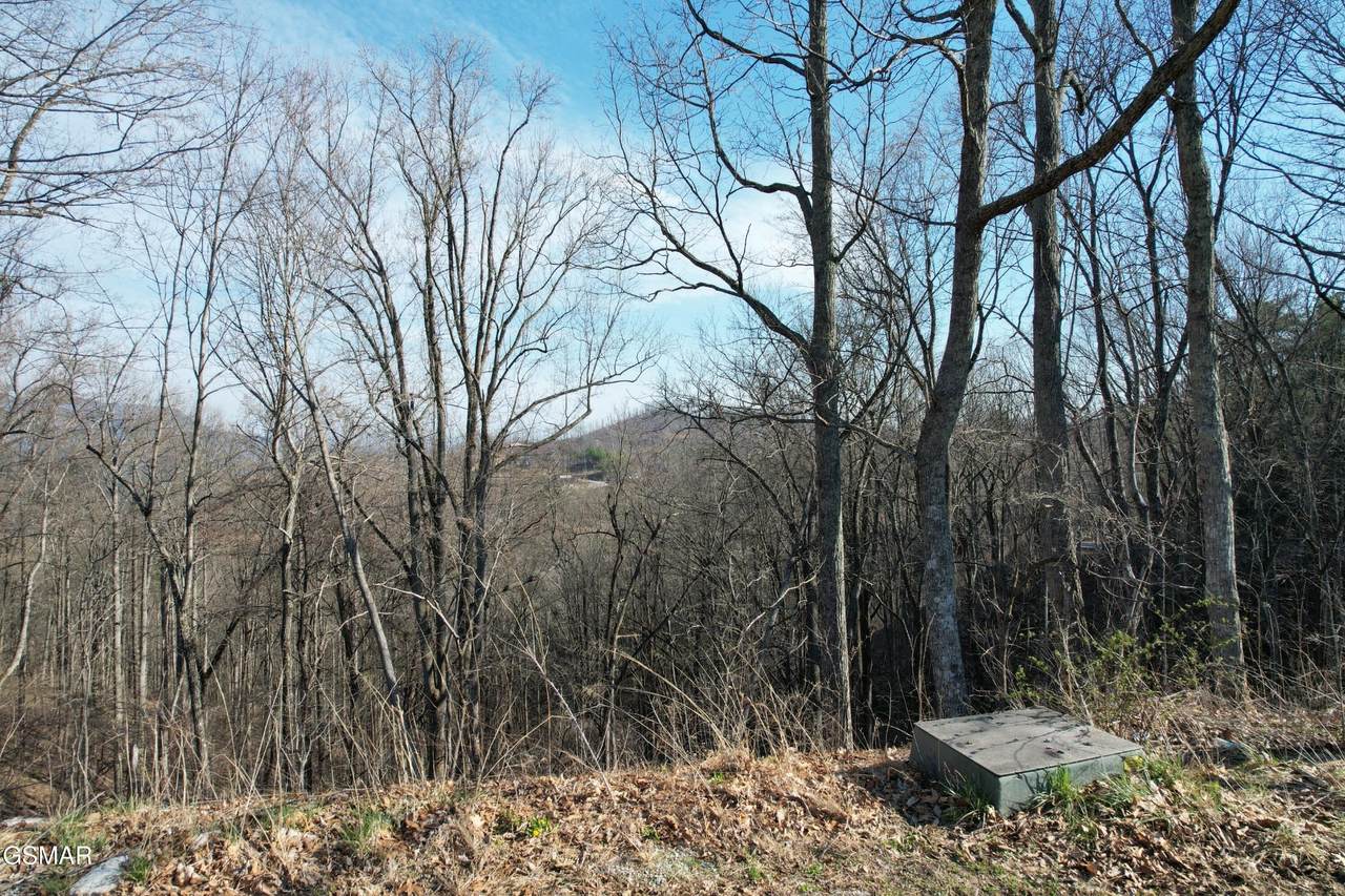 https://bt-photos.global.ssl.fastly.net/nashville/1280_boomver_1_RTC3284086-1.jpg