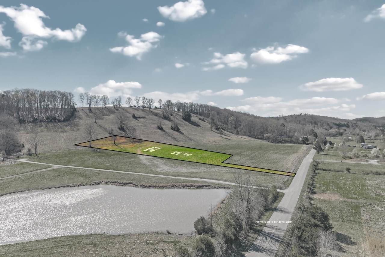 3 N Nopone Valley Road - Photo 1