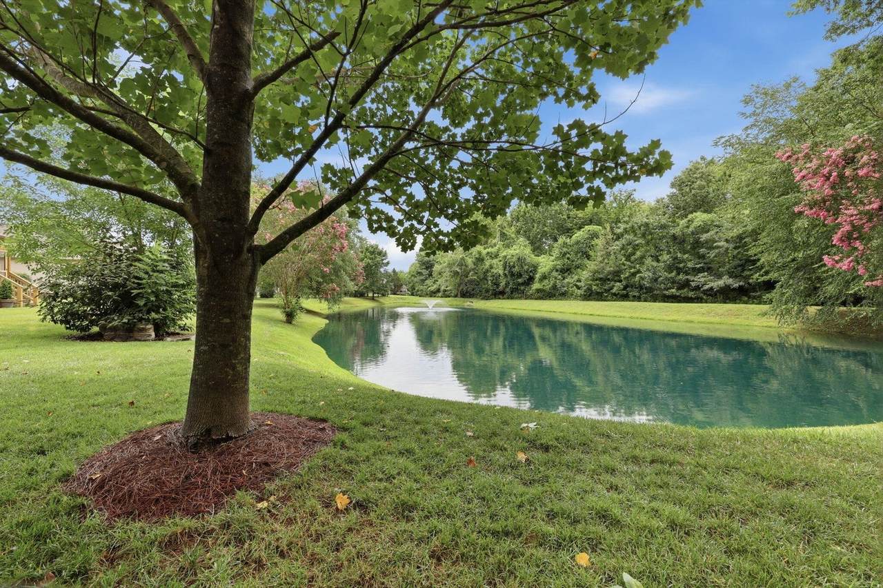 1157 Hidden Creek Dr - Photo 1
