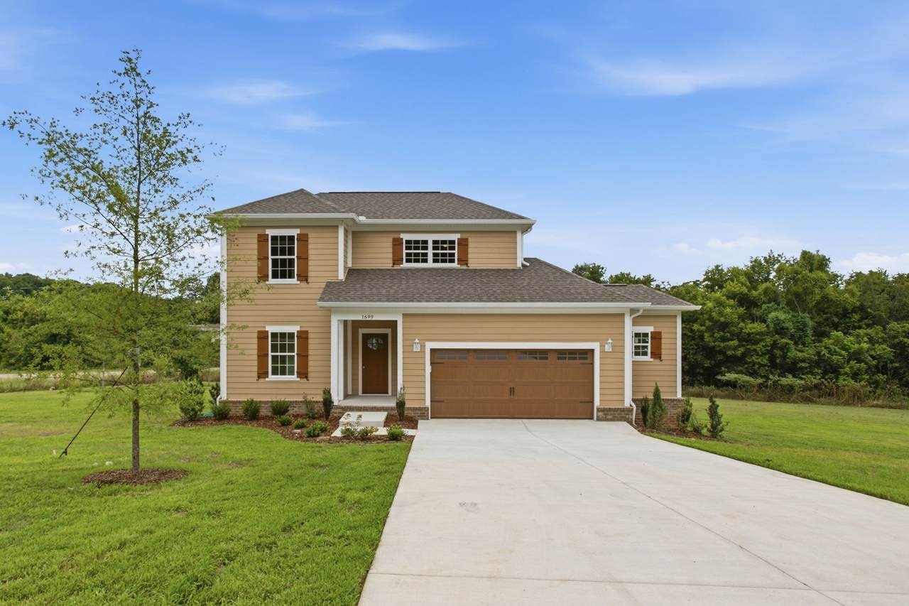 1699 Blue Moon Ln - Photo 1