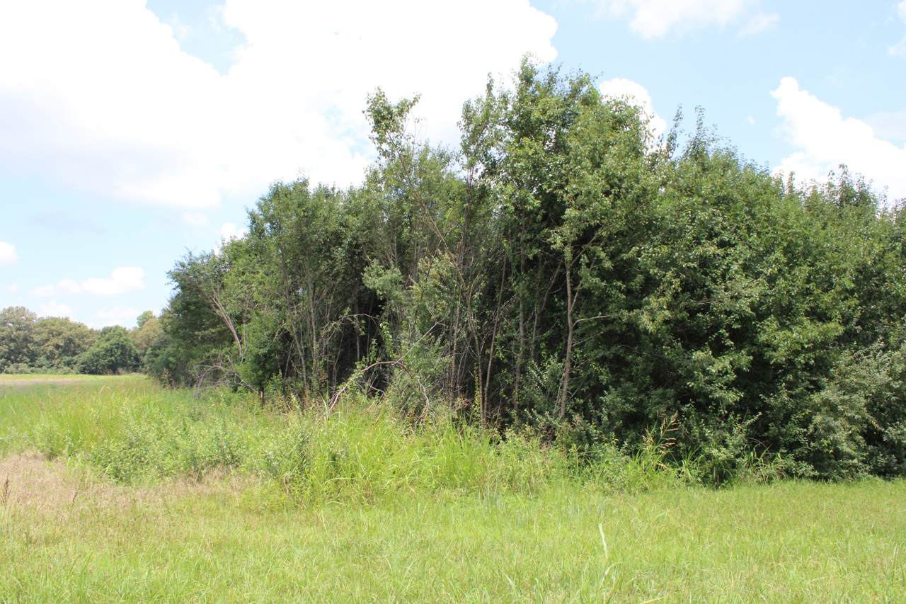 https://bt-photos.global.ssl.fastly.net/nashville/1280_boomver_1_RTC3287590-1.jpg