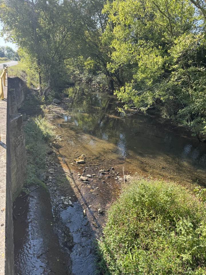 0 Cheatham Springs Road - Photo 1