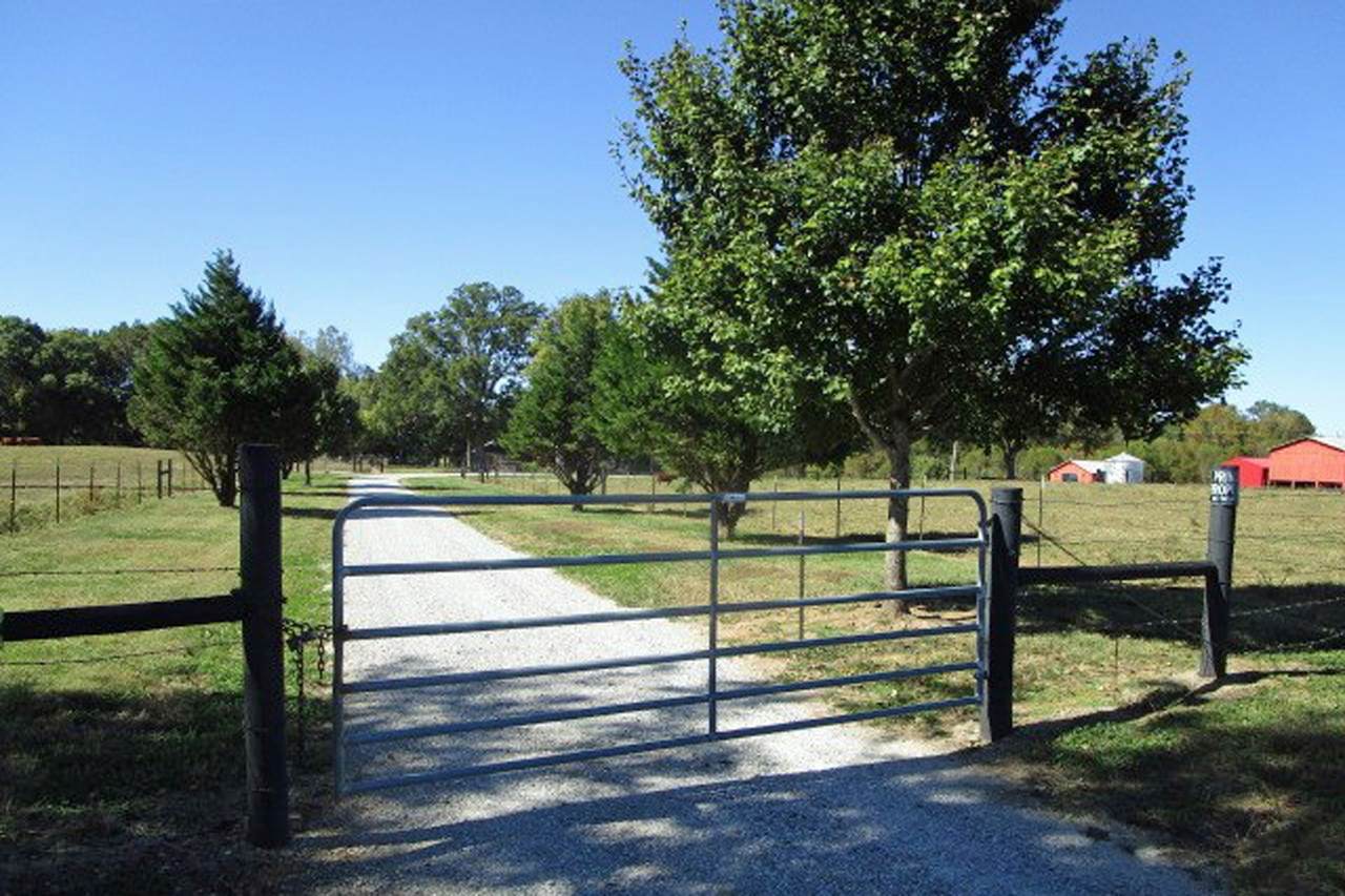 144 Mary Adams Rd - Photo 1