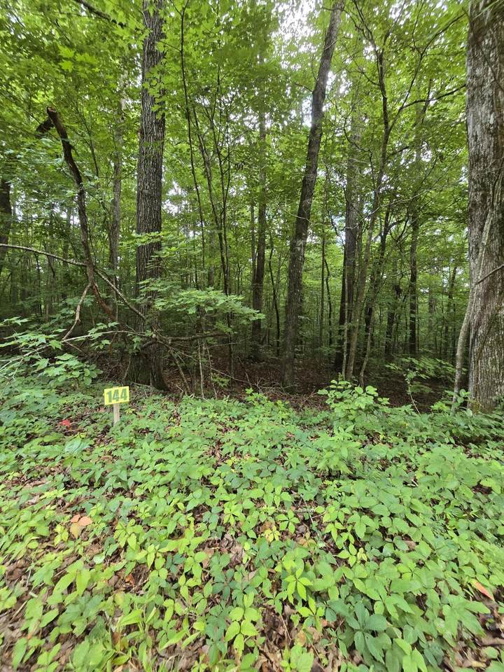 https://bt-photos.global.ssl.fastly.net/nashville/1280_boomver_1_RTC3287822-1.jpg