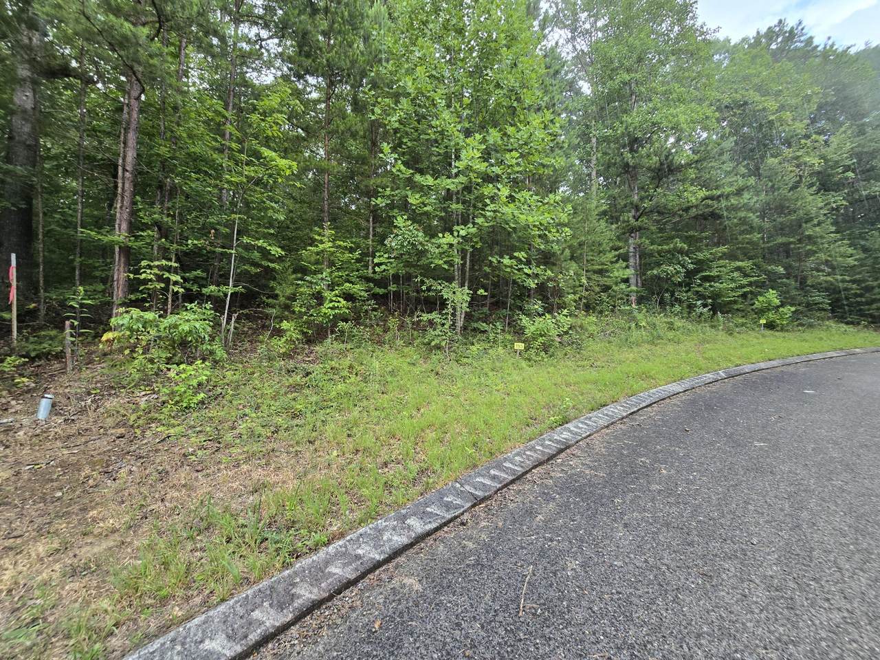 155 Lower Brow Road - Photo 1