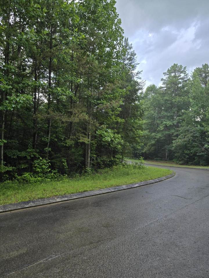 https://bt-photos.global.ssl.fastly.net/nashville/1280_boomver_1_RTC3287826-1.jpg