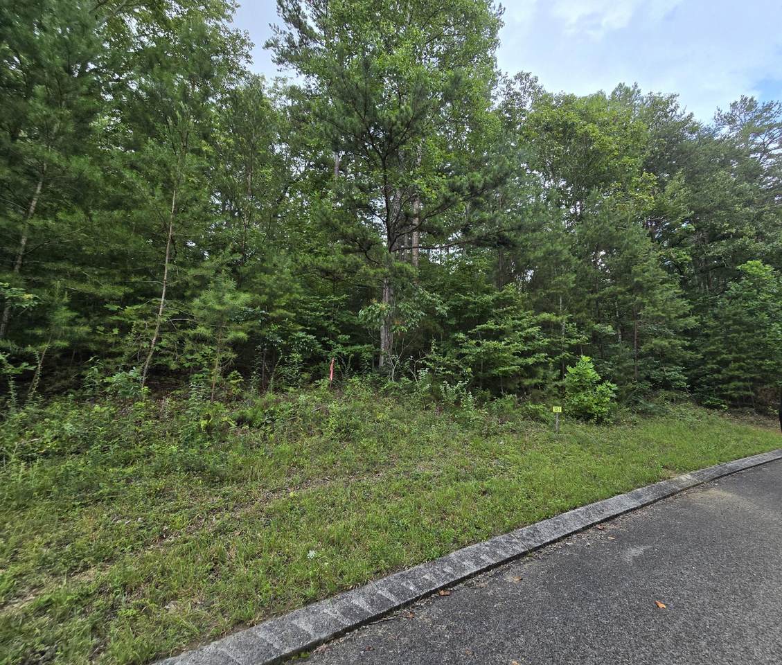 157 Lower Brow Road - Photo 1