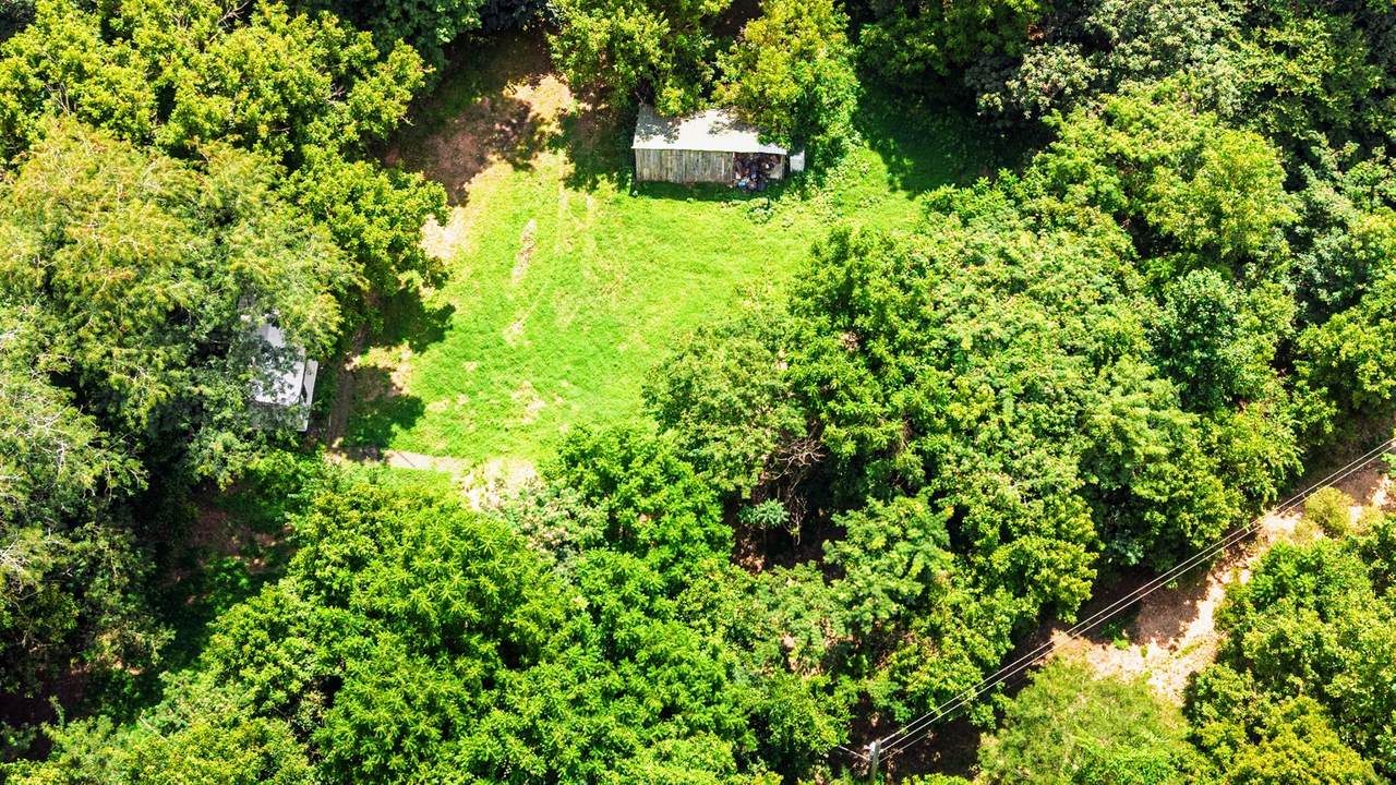713 Preston Baggett Rd - Photo 1