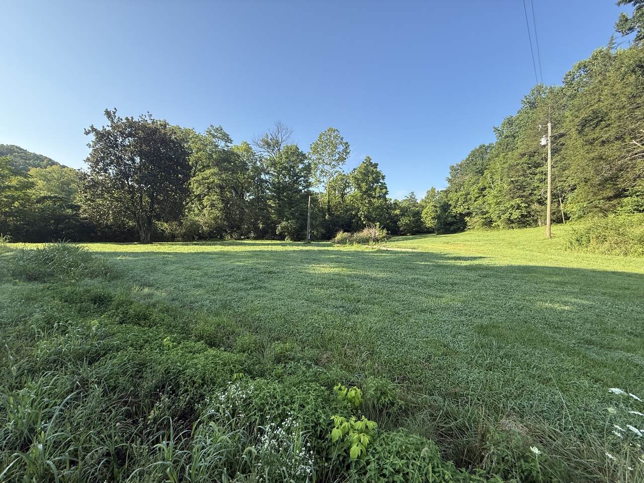 2407 Esque Sharp Rd - Photo 1
