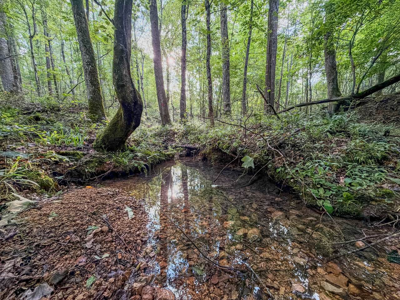https://bt-photos.global.ssl.fastly.net/nashville/1280_boomver_1_RTC3288375-1.jpg