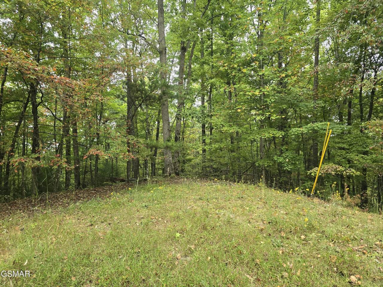https://bt-photos.global.ssl.fastly.net/nashville/1280_boomver_1_RTC3288529-1.jpg