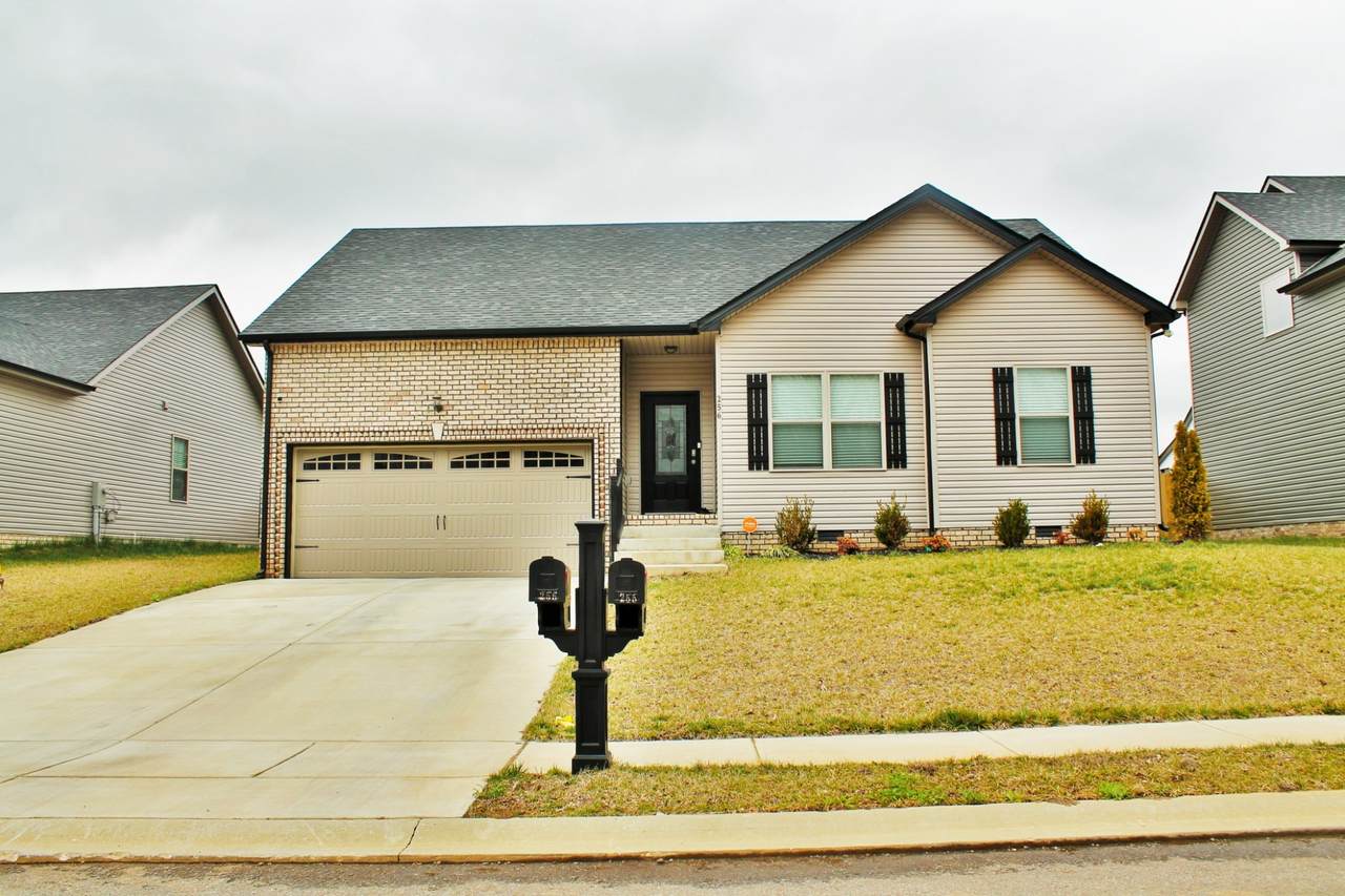 256 Azalea Dr - Photo 1