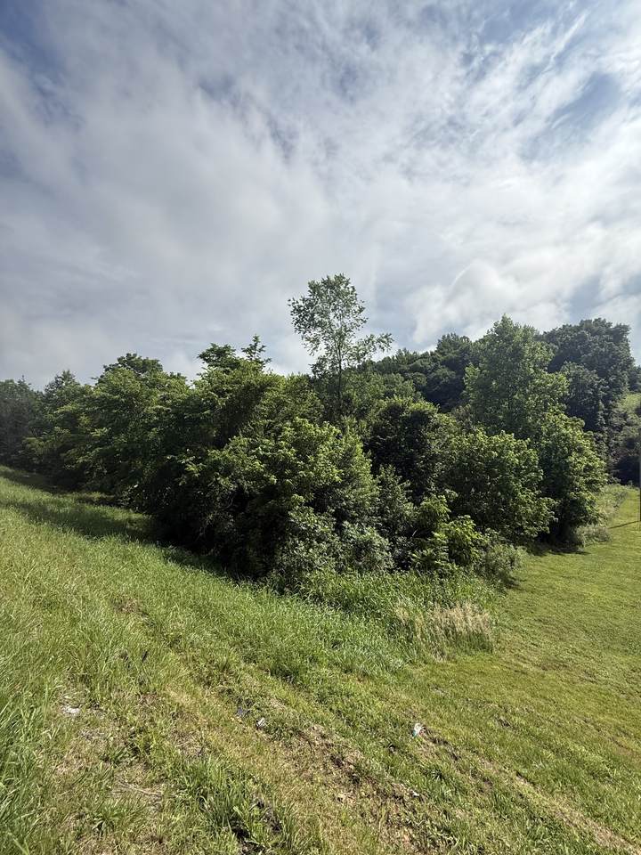 0 Highway 31 E - Photo 1