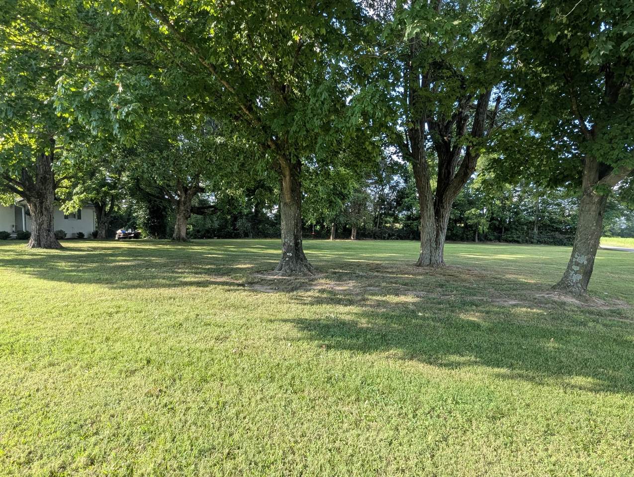 https://bt-photos.global.ssl.fastly.net/nashville/1280_boomver_1_RTC3298084-1.jpg