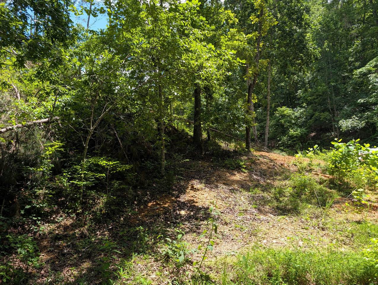 https://bt-photos.global.ssl.fastly.net/nashville/1280_boomver_1_RTC3298125-1.jpg
