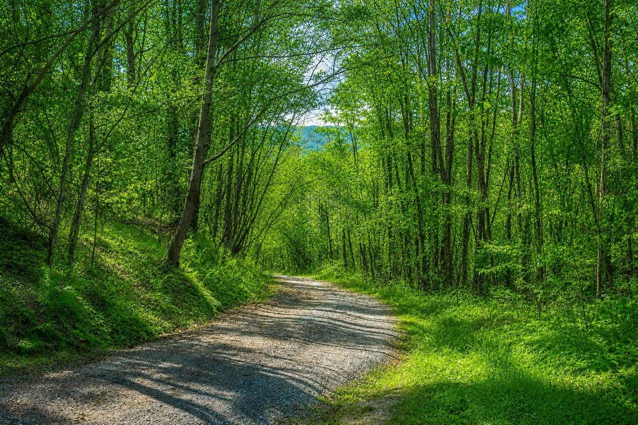 https://bt-photos.global.ssl.fastly.net/nashville/1280_boomver_1_RTC3298231-1.jpg