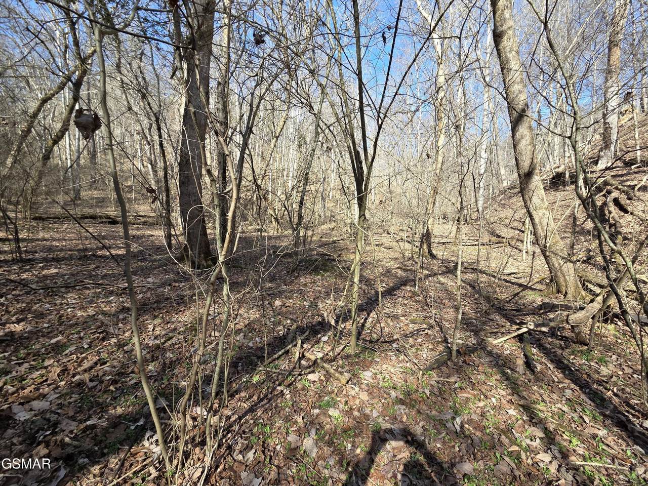 https://bt-photos.global.ssl.fastly.net/nashville/1280_boomver_1_RTC3298233-1.jpg