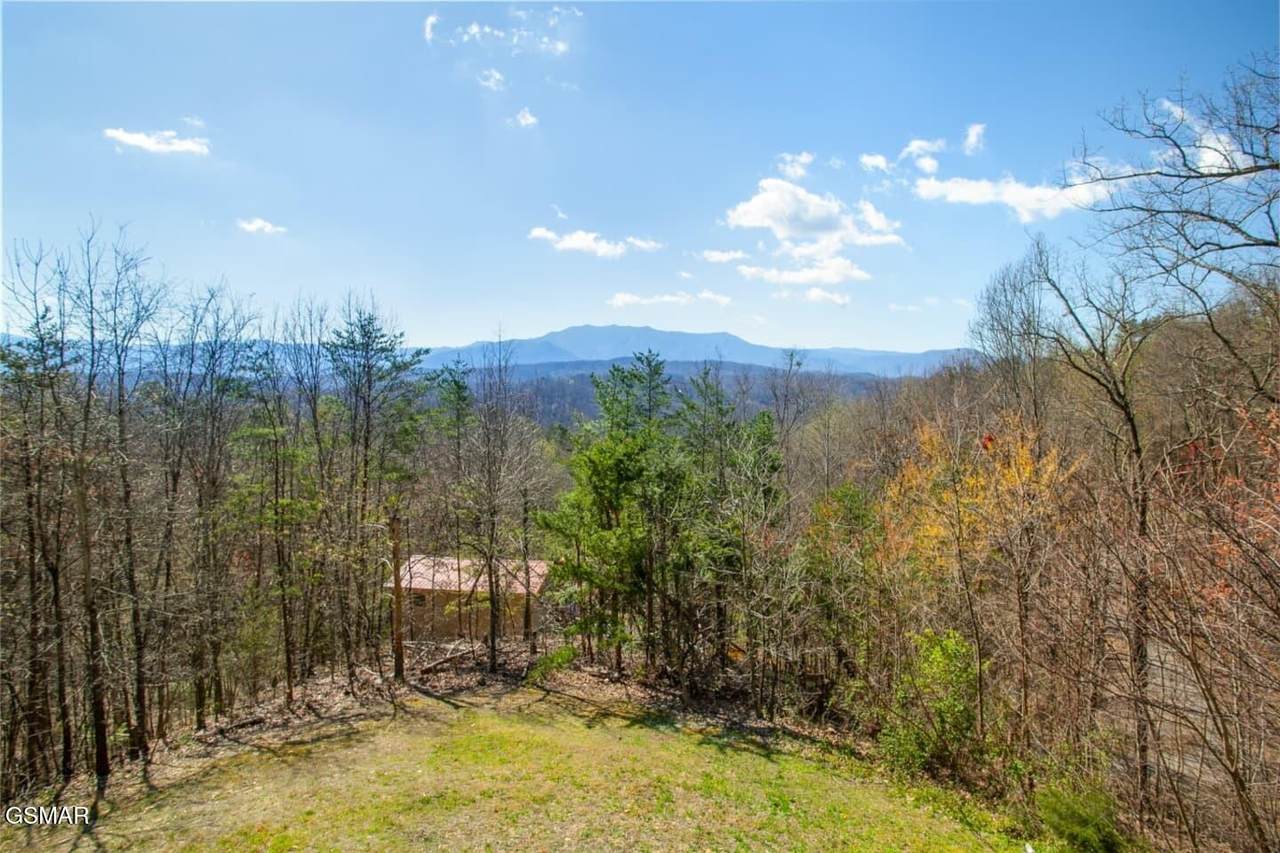 https://bt-photos.global.ssl.fastly.net/nashville/1280_boomver_1_RTC3298334-1.jpg