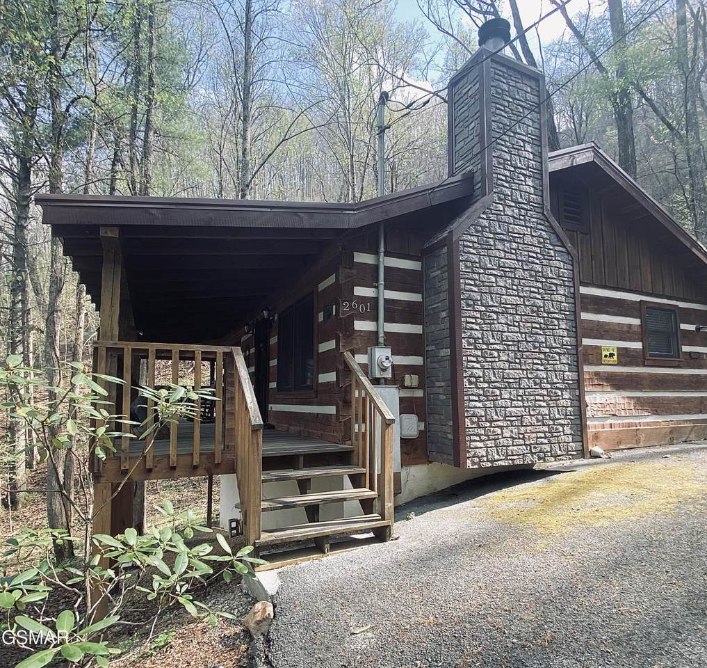 2601 Black Bear Lane - Photo 1