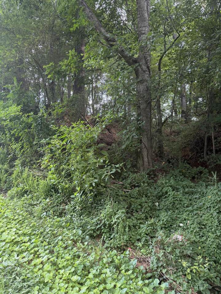 https://bt-photos.global.ssl.fastly.net/nashville/1280_boomver_1_RTC3299499-1.jpg