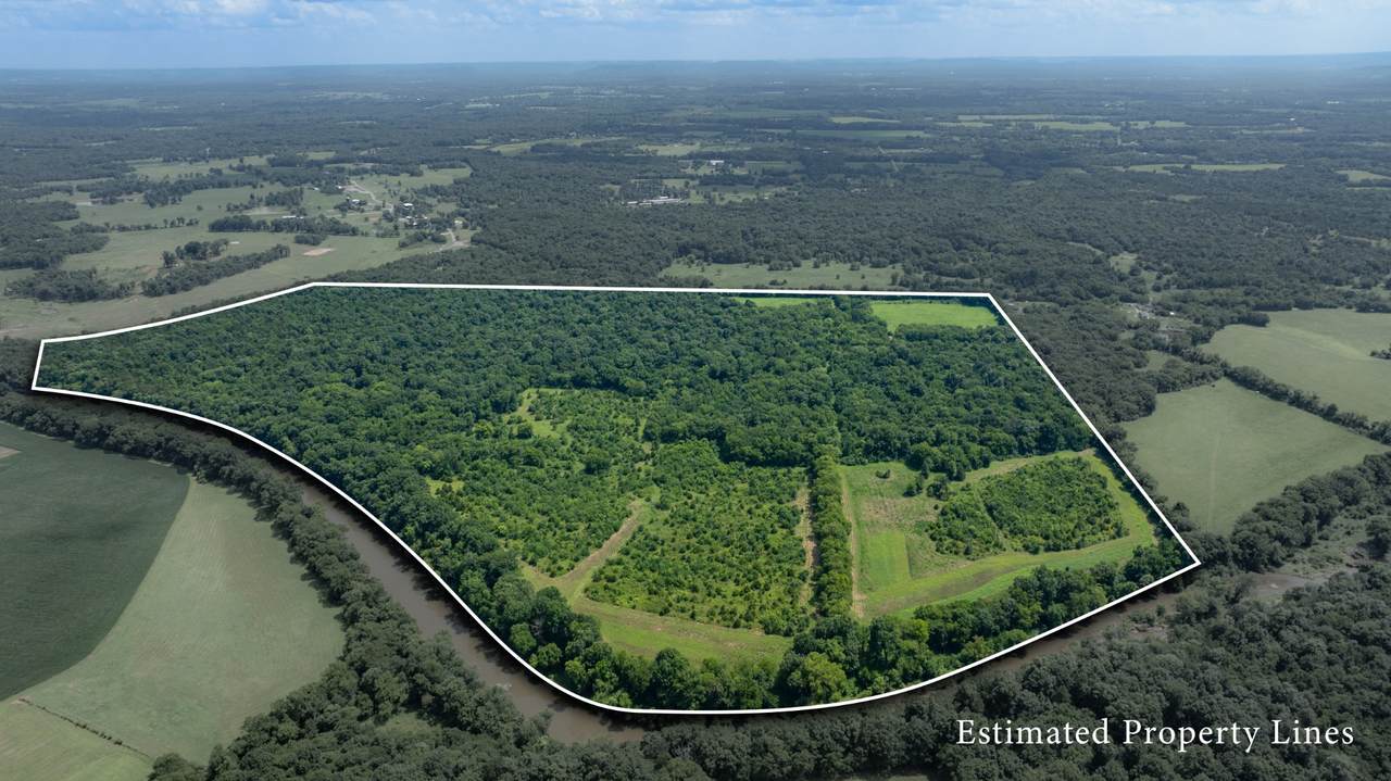 498 Rattlesnake Lodge Rd - Photo 1