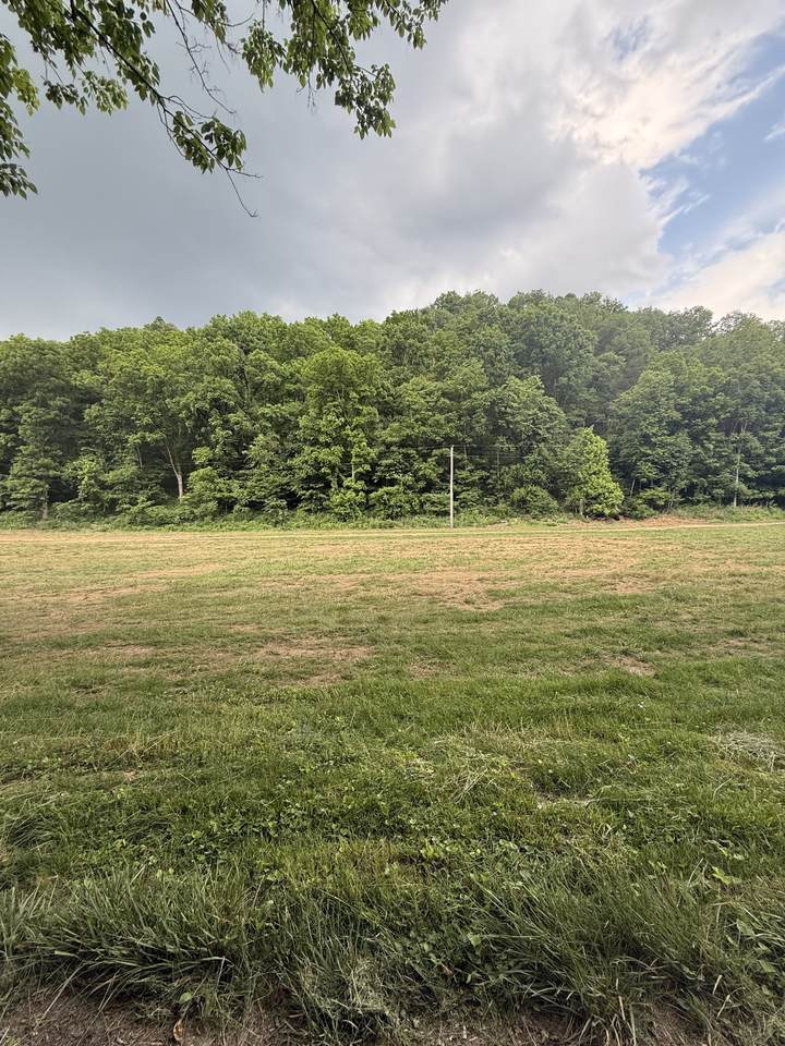 0 Hurricane Branch Lane - Photo 1