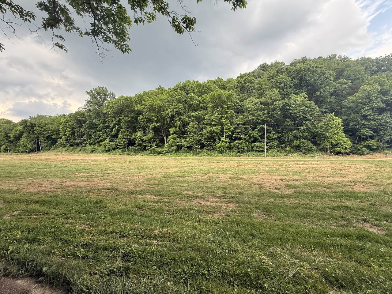https://bt-photos.global.ssl.fastly.net/nashville/1280_boomver_1_RTC3299529-1.jpg