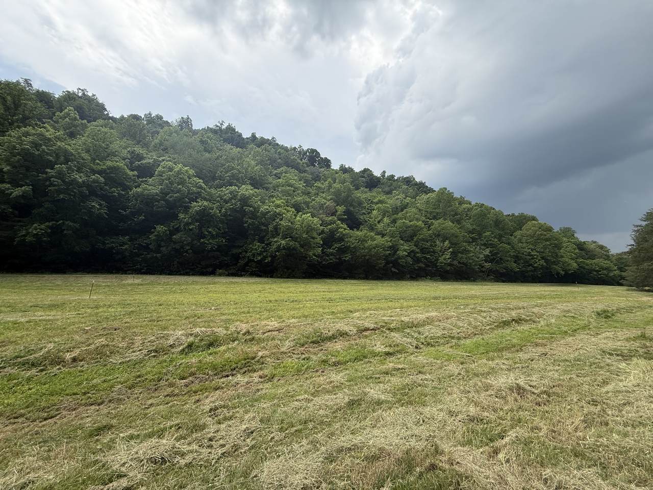 https://bt-photos.global.ssl.fastly.net/nashville/1280_boomver_1_RTC3299529-1.jpg