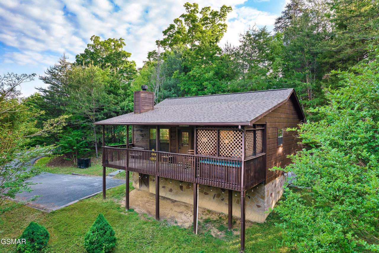 2619 Thad Trail - Photo 1