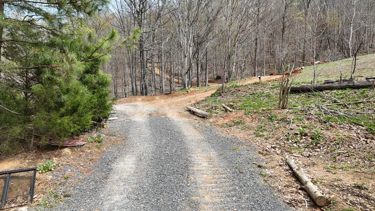561 Geren Subdivision Lane - Photo 1