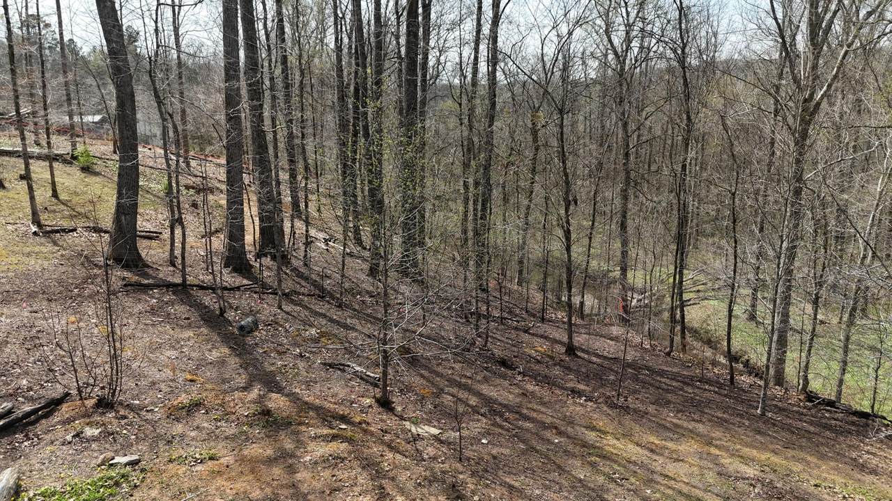 https://bt-photos.global.ssl.fastly.net/nashville/1280_boomver_1_RTC3301796-1.jpg