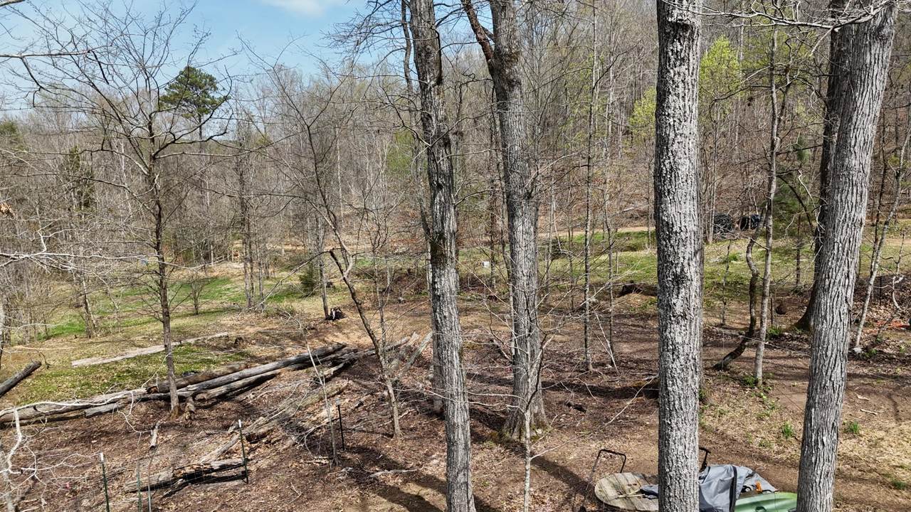 https://bt-photos.global.ssl.fastly.net/nashville/1280_boomver_1_RTC3301796-1.jpg