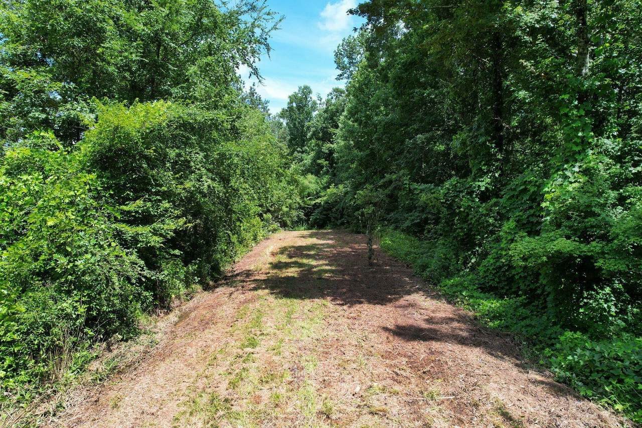 https://bt-photos.global.ssl.fastly.net/nashville/1280_boomver_1_RTC3301800-1.jpg