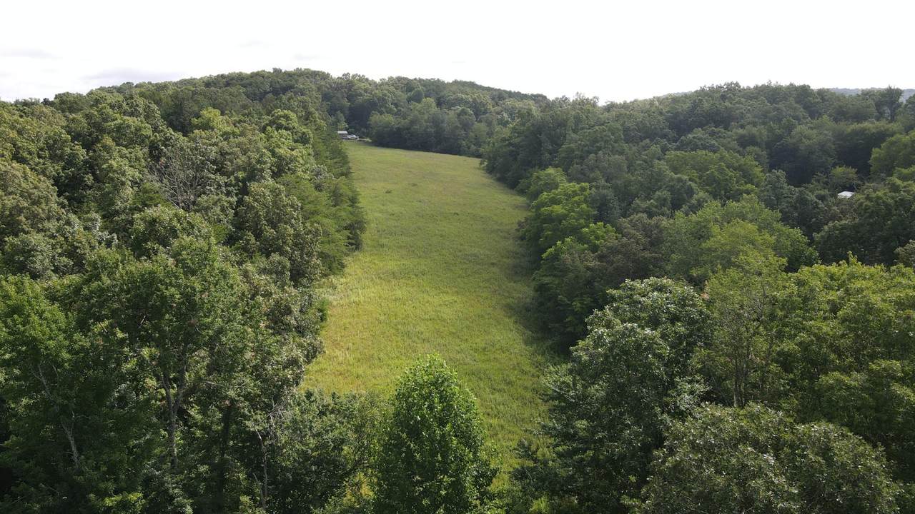 2571 Bellview Road - Photo 1