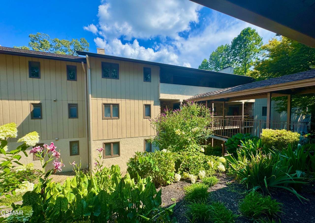 224 Woodland Road - Photo 1