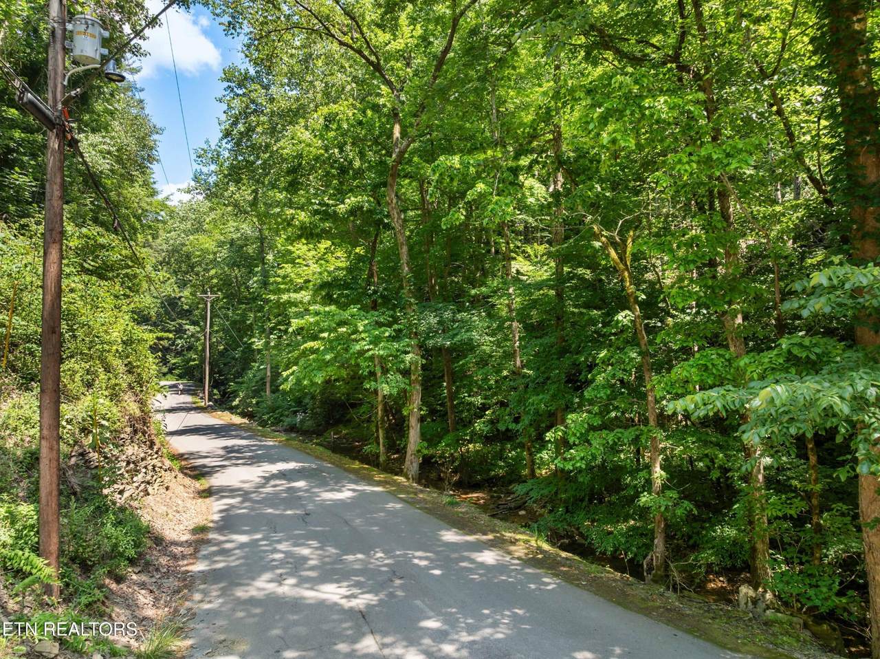 0 N Clear Fork Rd - Photo 1