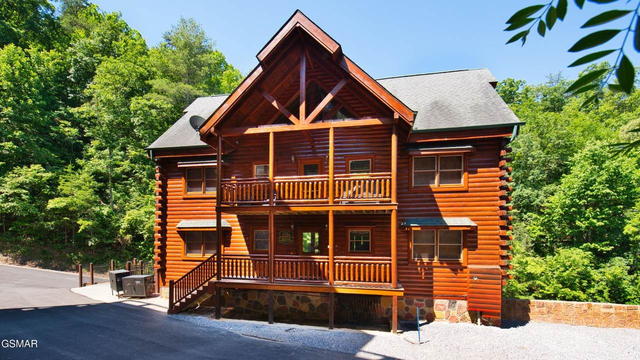 1124 Black Bear Cub Way - Photo 1