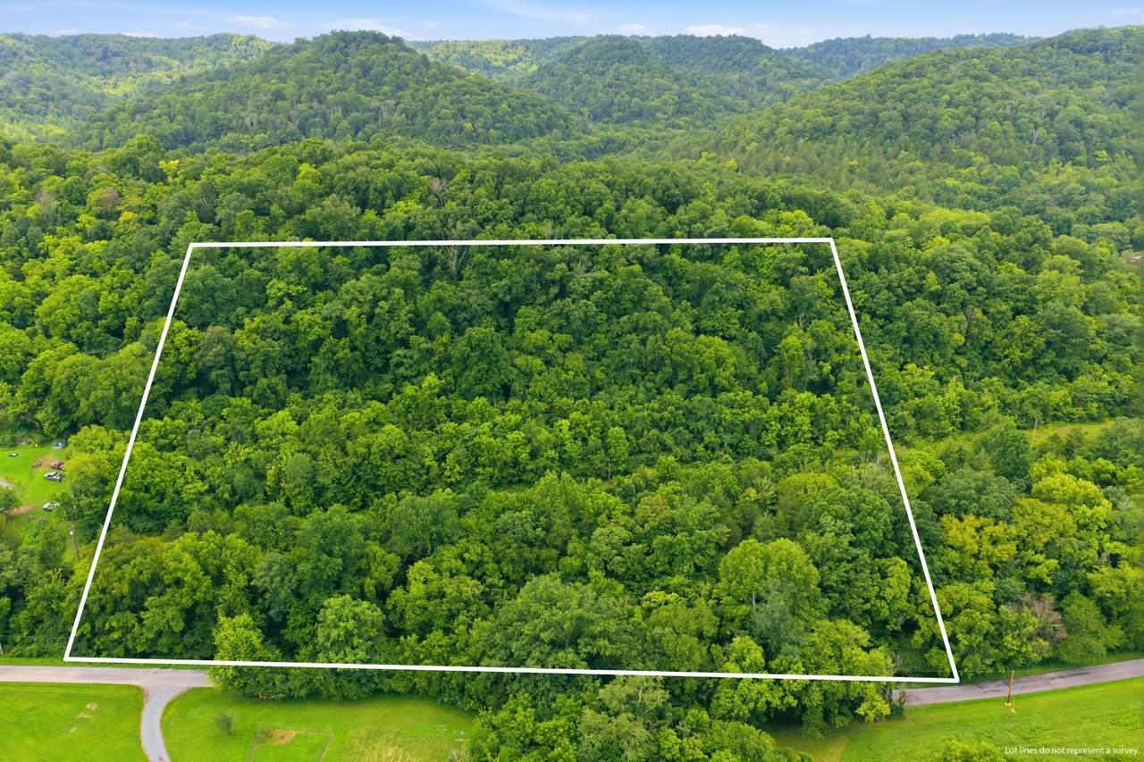 5023 Burt Burgen Rd - Photo 1