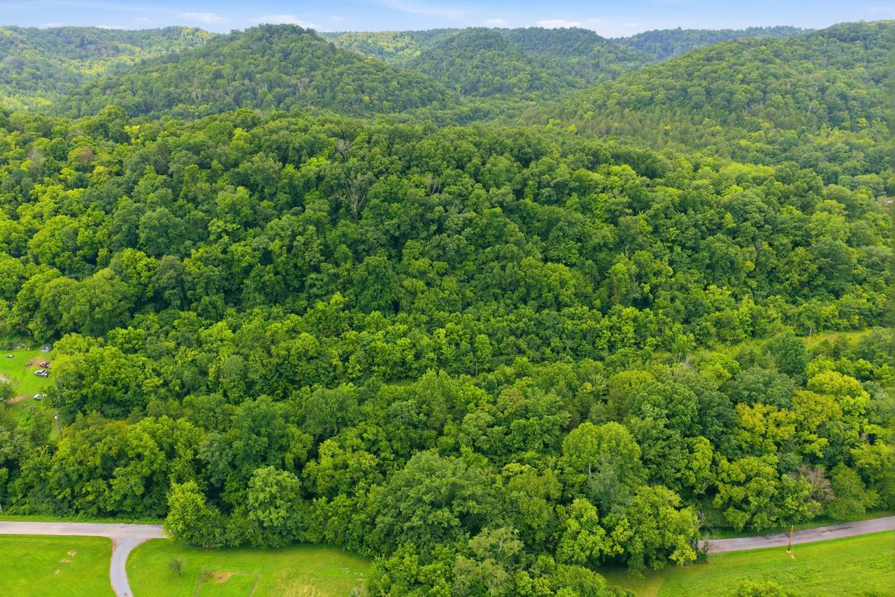 https://bt-photos.global.ssl.fastly.net/nashville/1280_boomver_1_RTC3303972-1.jpg
