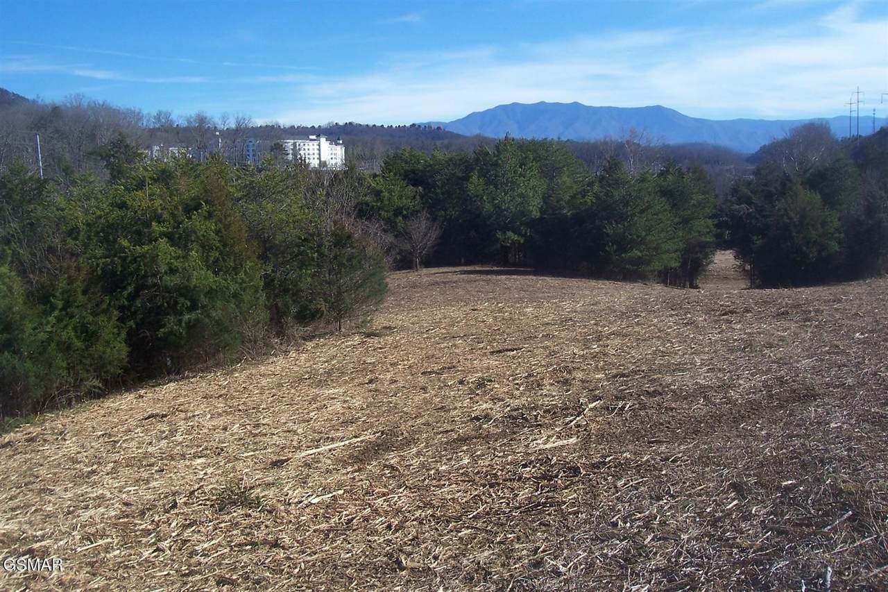 4 Veterans Blvd - Photo 1