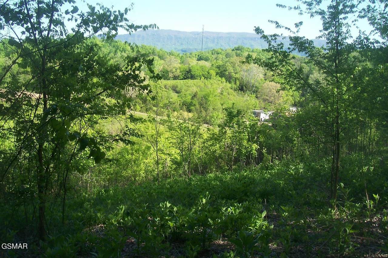 https://bt-photos.global.ssl.fastly.net/nashville/1280_boomver_1_RTC3304073-1.jpg