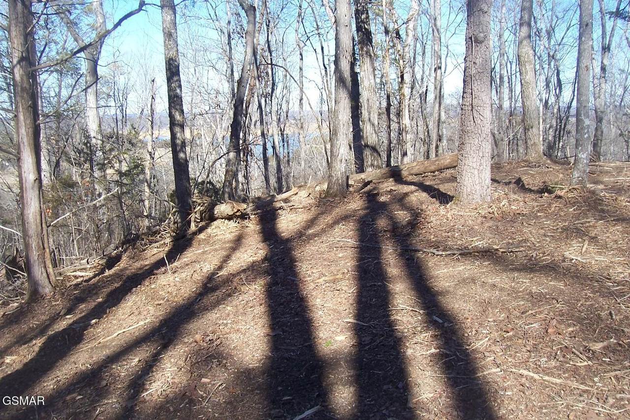 https://bt-photos.global.ssl.fastly.net/nashville/1280_boomver_1_RTC3304078-1.jpg
