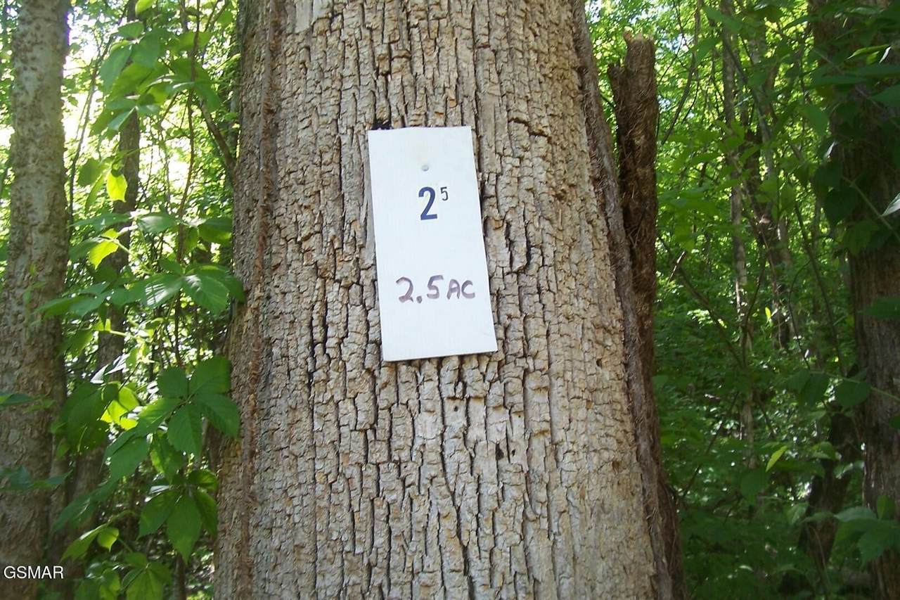 https://bt-photos.global.ssl.fastly.net/nashville/1280_boomver_1_RTC3304082-1.jpg